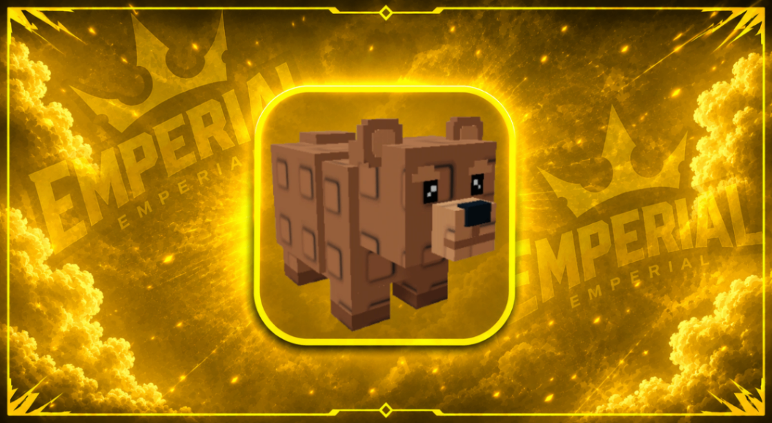 🐻 CONTA COM BEAR